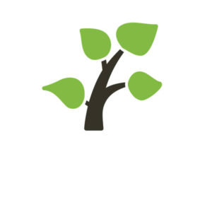 Phyto-Supplements